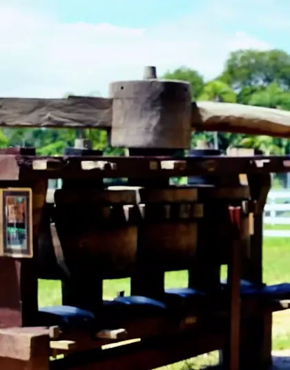 Trapiche de madera para moler caña de azúcar en la granja